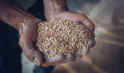 visuel cooperative viande limousine celmar newsletter.jpg