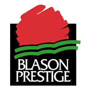 Celmar élevage bovin et ovin limousin producteur abattage distributeur de viande limousine