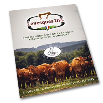 visuel brochures celmar elevage abattage distribution limousine