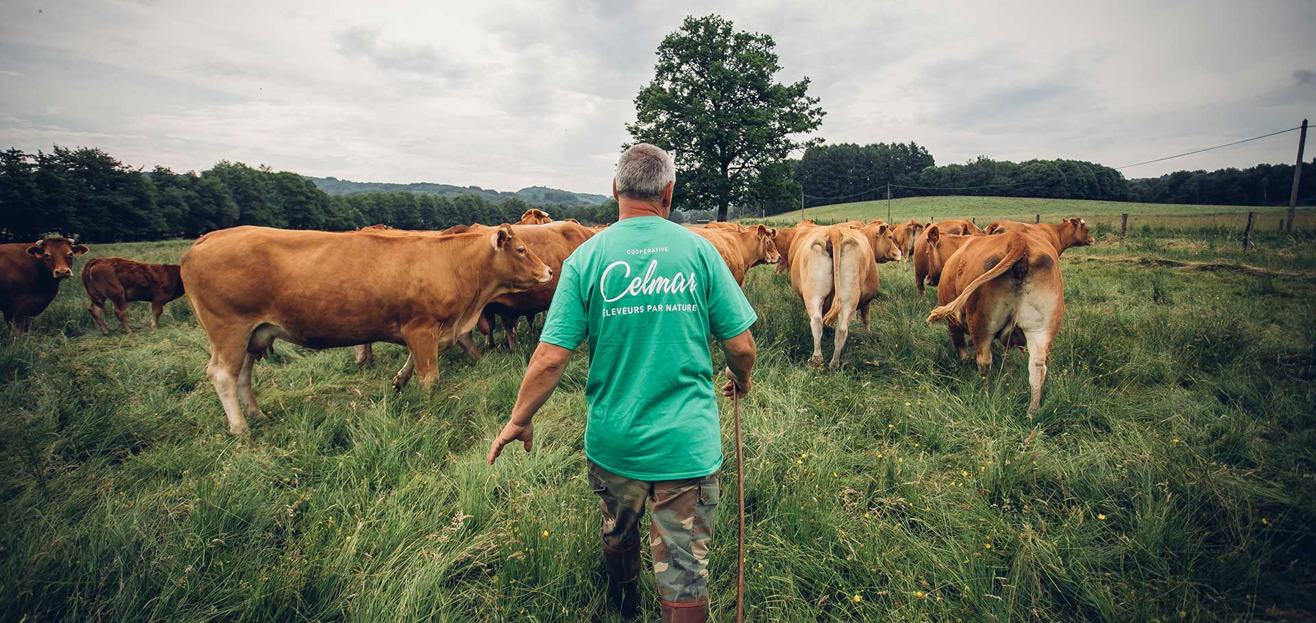 Celmar : une histoire d’Hommes et de terroir