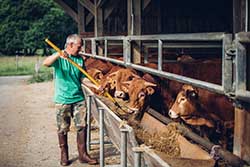 Celmar | Coopérative d'éleveur bovin et ovin du Limousin. Viandes de qualité certifiées