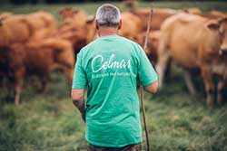 Celmar | Coopérative d'éleveur bovin et ovin du Limousin. Viandes de qualité certifiées