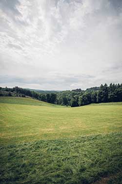 Celmar | Coopérative d'éleveur bovin et ovin du Limousin. Viandes de qualité certifiées