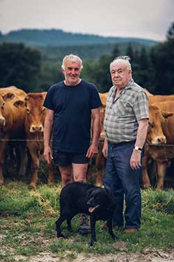 Celmar | Coopérative d'éleveur bovin et ovin du Limousin. Viandes de qualité certifiées