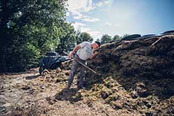 Celmar | Coopérative d'éleveur bovin et ovin du Limousin. Viandes de qualité certifiées