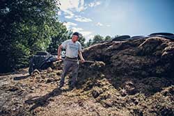 Celmar | Coopérative d'éleveur bovin et ovin du Limousin. Viandes de qualité certifiées