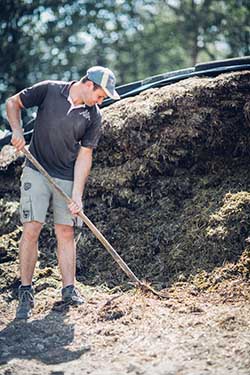 Celmar | Coopérative d'éleveur bovin et ovin du Limousin. Viandes de qualité certifiées