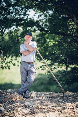 Celmar | Coopérative d'éleveur bovin et ovin du Limousin. Viandes de qualité certifiées