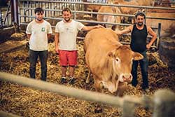 Celmar | Coopérative d'éleveur bovin et ovin du Limousin. Viandes de qualité certifiées