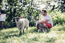 Celmar | Coopérative d'éleveur bovin et ovin du Limousin. Viandes de qualité certifiées