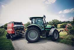 Celmar | Coopérative d'éleveur bovin et ovin du Limousin. Viandes de qualité certifiées