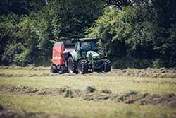 Celmar | Coopérative d'éleveur bovin et ovin du Limousin. Viandes de qualité certifiées