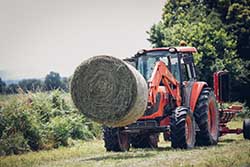 Celmar | Coopérative d'éleveur bovin et ovin du Limousin. Viandes de qualité certifiées