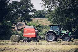 Celmar | Coopérative d'éleveur bovin et ovin du Limousin. Viandes de qualité certifiées