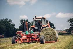 Celmar | Coopérative d'éleveur bovin et ovin du Limousin. Viandes de qualité certifiées