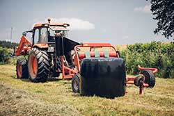 Celmar | Coopérative d'éleveur bovin et ovin du Limousin. Viandes de qualité certifiées